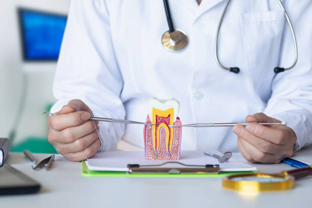Best Chipped Tooth Repair Near Me  in Concord, VA